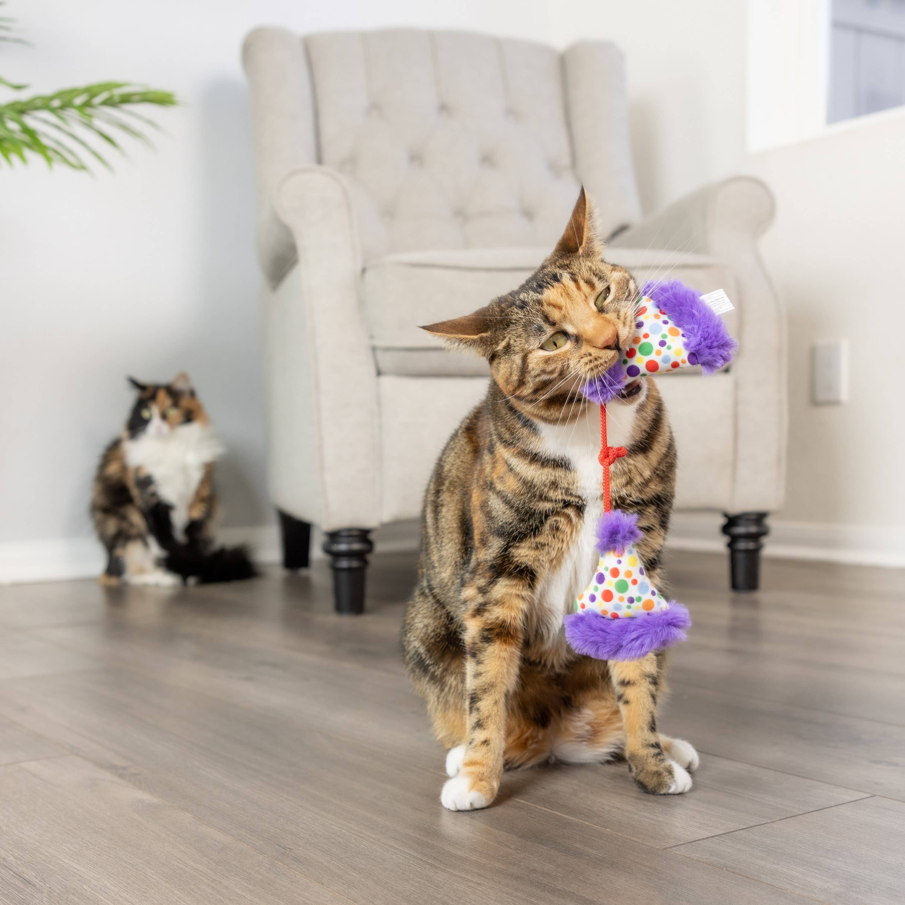 Huxley & Kent - Party Hats for Cats